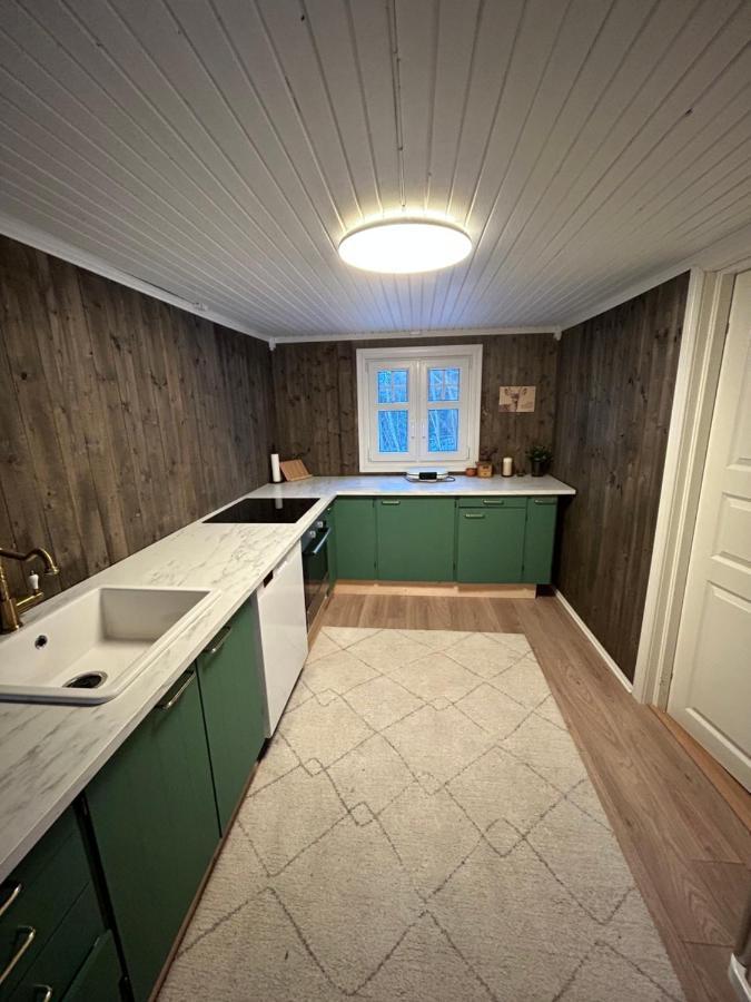 Villa Beautiful Cabin By Mjosa. Stange Exterior foto